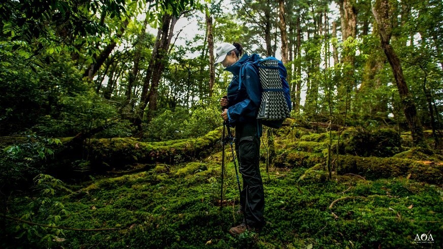 圖像裡可能有一或多人、大家站著、樹、植物、戶外和大自然